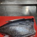 (주)위메진 이미지