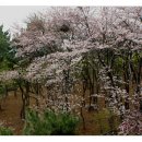 사우로2 이미지