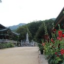 회룡사 - 1121 | 회룡사