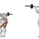 굿모닝 휘트니스 헬스 이미지