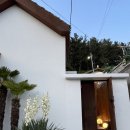 사유의숲 이미지