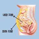 해밀턴짐 이미지