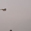 명사 20 민박 이미지