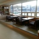 신정애견 이미지