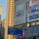 멍메이드 | [양주 옥정] 예비 신부 다이어트 메이드라인 후기 | 바이오포톤 체지방 감량 후기