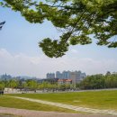 고려대학교(세종) 일반대학원 이미지