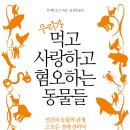 돼지세상 이미지