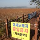나주2농장 한국일보