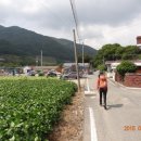 평리 마을회관 이미지