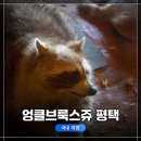 (주)중부벳 | [경기도 평택여행 4탄] 당일치기 여행, 엉클브룩스쥬 평택, 아이와 함께 가기 좋은 곳