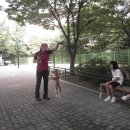 궁내초교 이미지