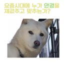 미르안경 네이버블로그