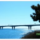 을숙도 생태공원 이미지