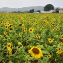 둔수농장 이미지