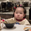 윤진약국 | ∈I끌모ㅇL 11月 - 4週