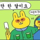 파리휘트니스 네이버블로그