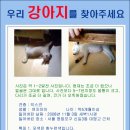 영등포구 신길3동 Daum카페