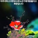 담아담아