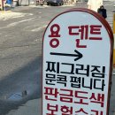 용덴트 이미지