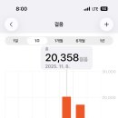반포식육식당