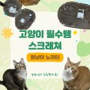 멍냥이노리터 | 고양이 필수템 스크래쳐 추천! 멍냥이노리터 스크래쳐 솔직 리뷰