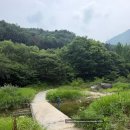 가평 계곡 추천 탐선계곡유원지, 여름방학 아이와 가기 좋은 숨은 계곡 후기