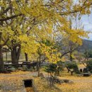 경섭농장 이미지