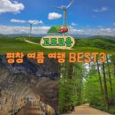 평창 여름 여행 가볼만한곳 BEST 3, 동굴부터 대관령 목장까지 시원한 현지인 꿀팁