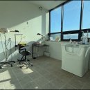 대구애견미용 강아지호텔 모여라솜뭉치 이미지