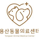 신탄진동물병원 이미지