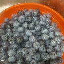 달밭농장 이미지