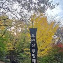 우면산5-13 이미지