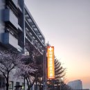 예산 삼선약국 네이버블로그