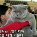 힐링나라 이미지
