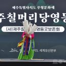 성읍리초가장 이미지