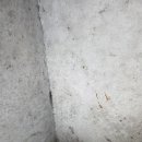 판교원로82번길 이미지