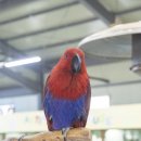 금마관광지 이미지