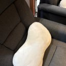 더봄치과기공소 | 대전 더봄치과 매복사랑니 내돈내산으로 발치한 후기!