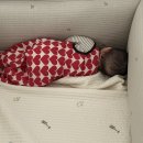 우리 아기의 첫 성장 클래스 프리미엄 몬테소리 | 6개월 아기 성장기록 : 초기 이유식 시작 🥣 앉기 성공! 아랫니 등장