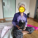 북평두부 이미지