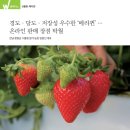 경도농장 이미지