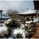 더 맑은 민박 이미지