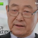 블럭나무