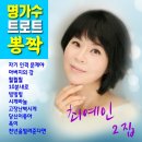 최예인 2집 명가수 트로트 뽕짝-자기인격문제야&아버지의강&훨훨훨&10분내로&빙빙빙&시계바늘&고장난벽시계&당신이좋아&옥이&천년을빌려준다면 이미지