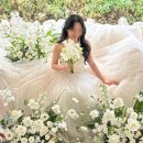 동행 | 부산 알마스튜디오 플라워디렉팅 풀타임 동행 후기 블루밍센트