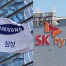 낸드도 AI발 칩 초호황기 합류... 한국 '빅2' "고성능 제품 주력" 이미지