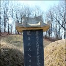 강징선생묘 및 신도비 이미지