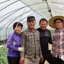 이재봉농장 이미지