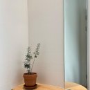 스테이낮선 이미지