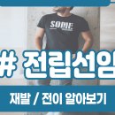 전이전